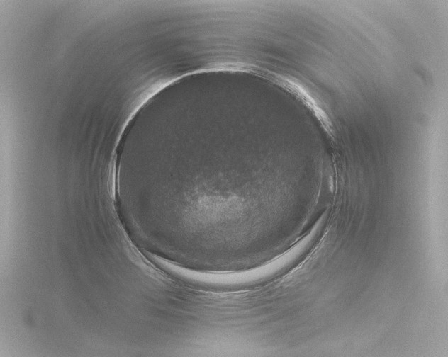 X0000116761276200912171428