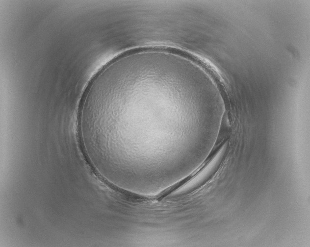 X0000116761279200912171428