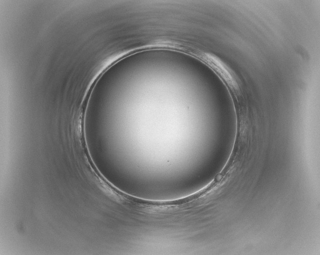 X0000116761292200912171428