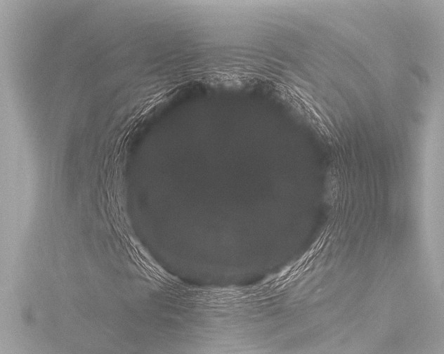 X0000116761297200912171427