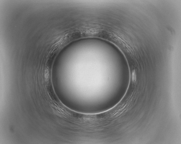 X0000116761299200912171427
