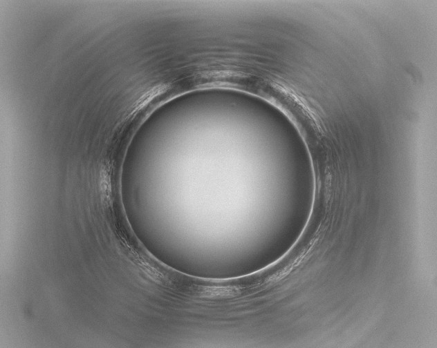 X0000116761305200912171427