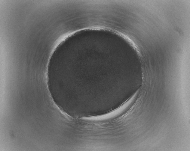 X0000116761327200912171428