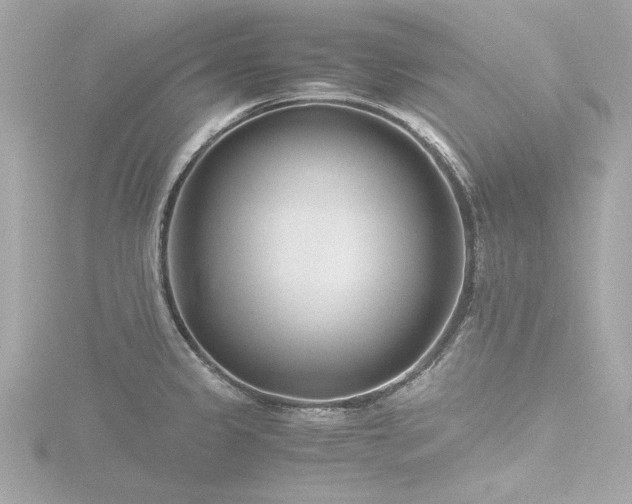 X0000116761333200912171428