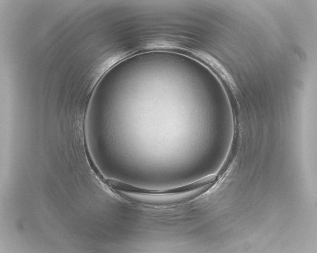 X0000116761337200912171428