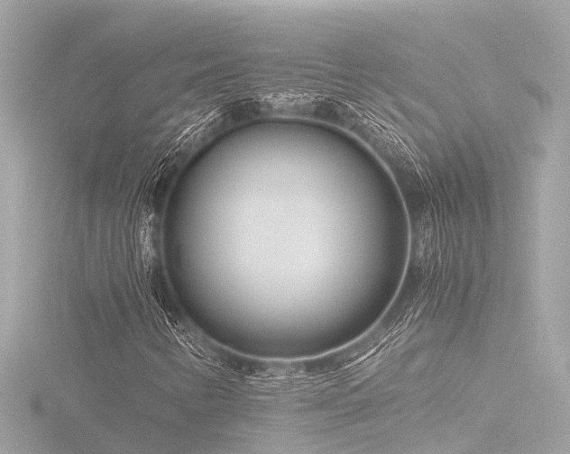 X0000116761346200912171427