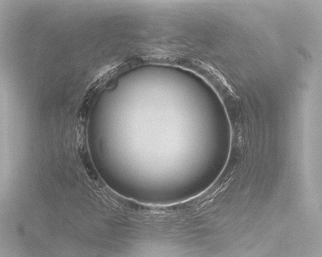 X0000116761350200912171427