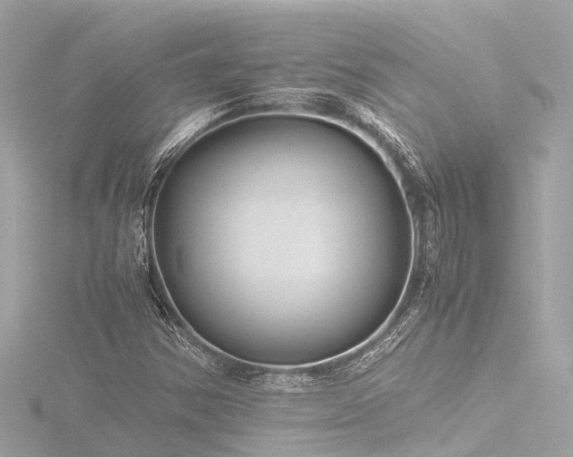 X0000116761354200912171427