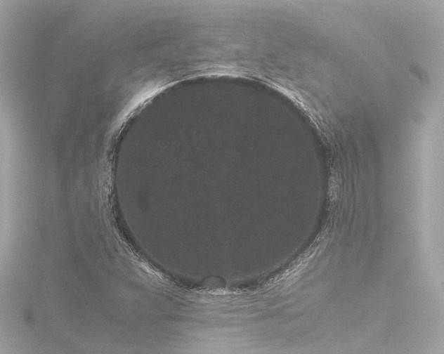 X0000116761359200912171427