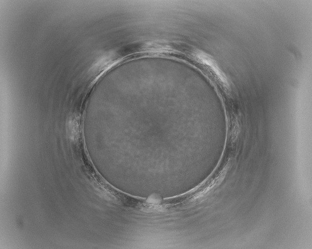 X0000116761361200912171427