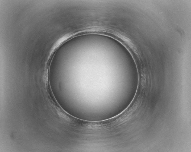 X0000116761366200912171427