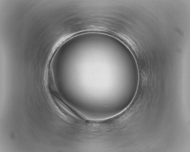 X0000116761371200912171427