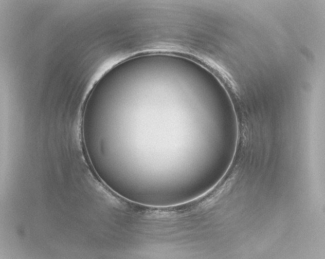 X0000116761374200912171427