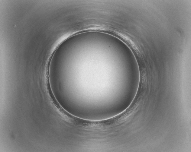 X0000116761375200912171427