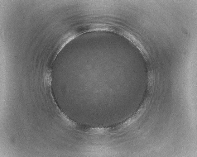 X0000116761377200912171427
