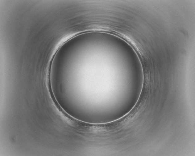 X0000116761379200912171427