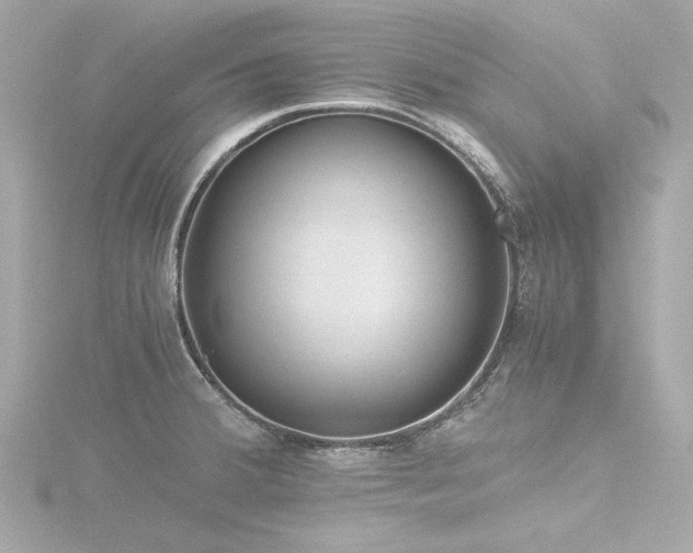 X0000116761380200912171427