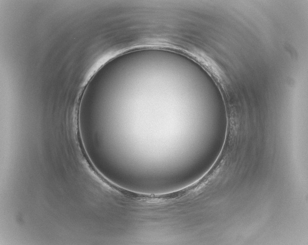 X0000116761382200912171427