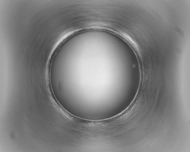X0000116761384200912171427
