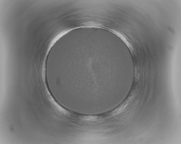 X0000116761387200912171427