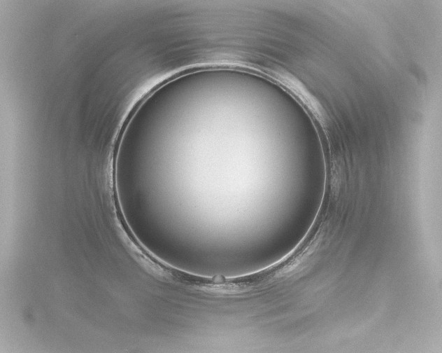 X0000116761388200912171427