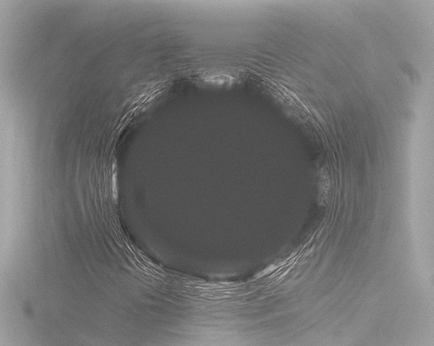 X0000116761394200912171426