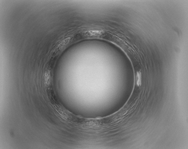 X0000116761395200912171426