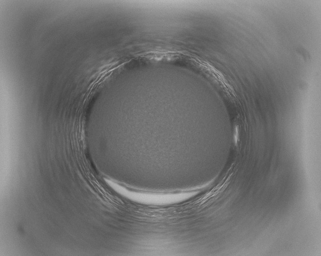 X0000116761396200912171426