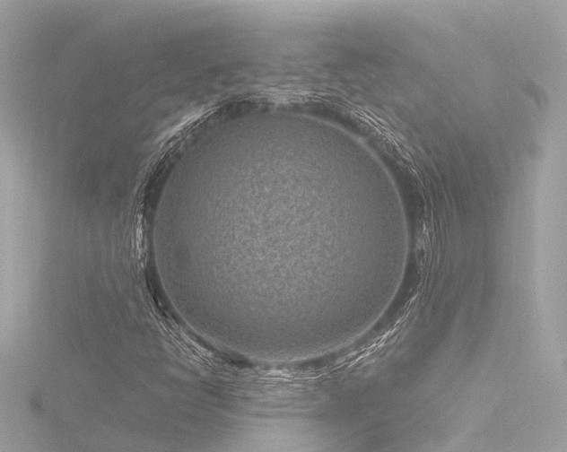 X0000116761398200912171426