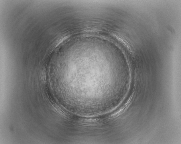 X0000116761401200912171426