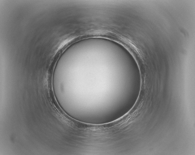 X0000116761404200912171426