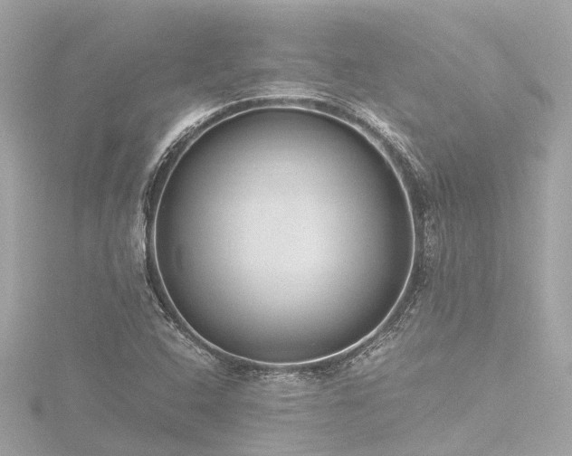 X0000116761408200912171426