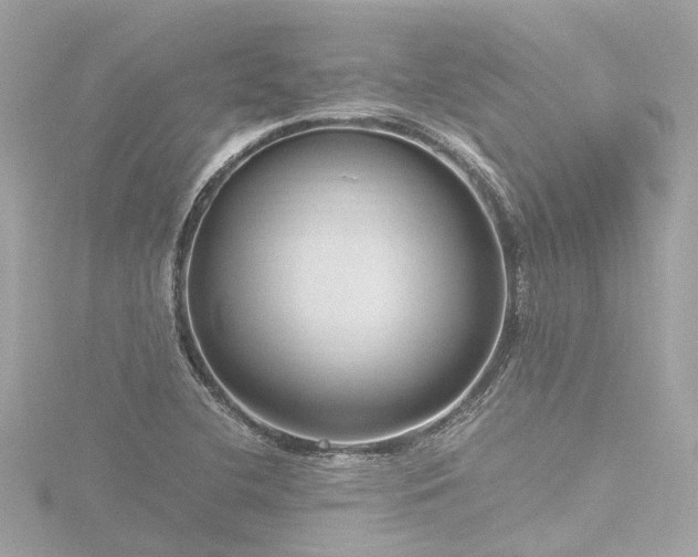 X0000116761412200912171426