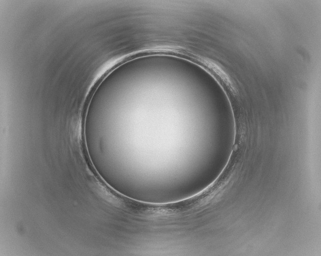 X0000116761420200912171426