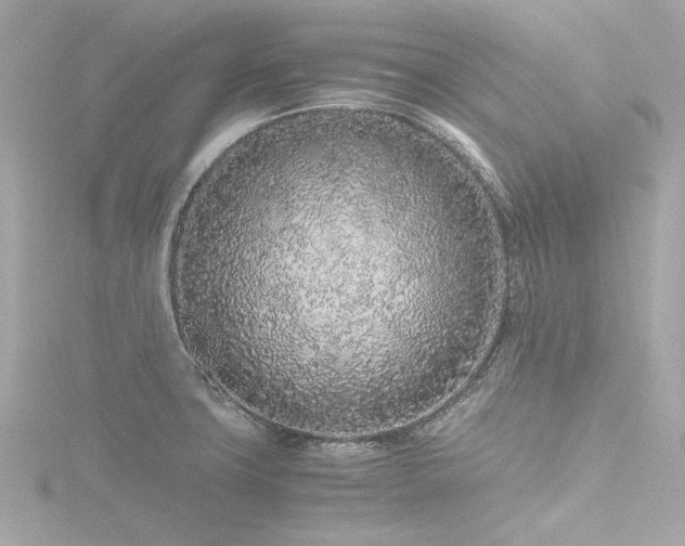X0000116761427200912171426