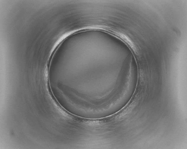X0000116761428200912171426
