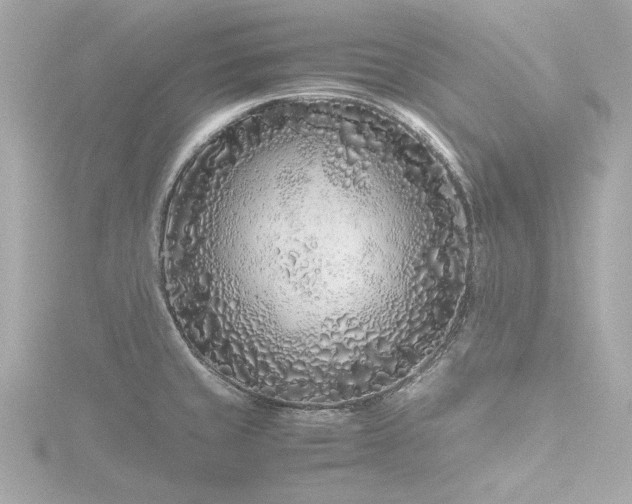 X0000116761429200912171426