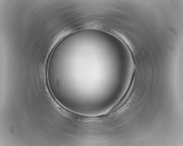 X0000116761434200912171426