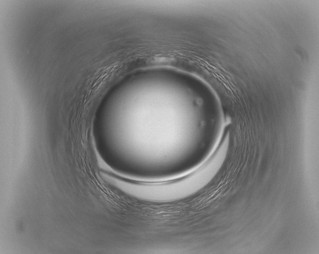 X0000116761441200912171426