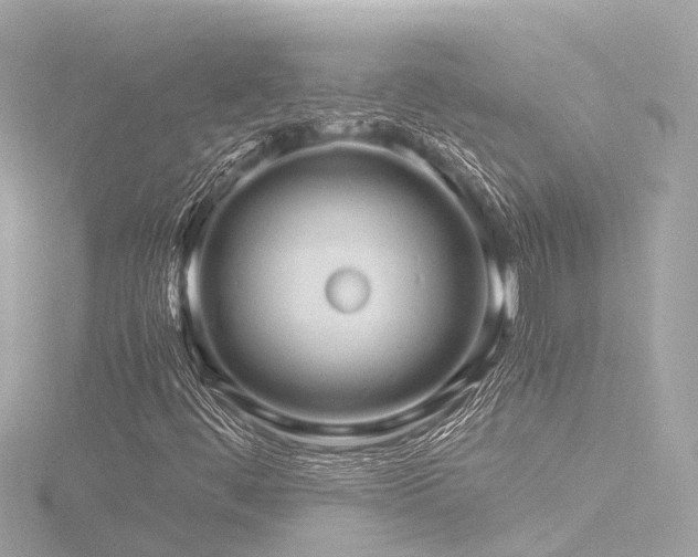 X0000116761444200912171426