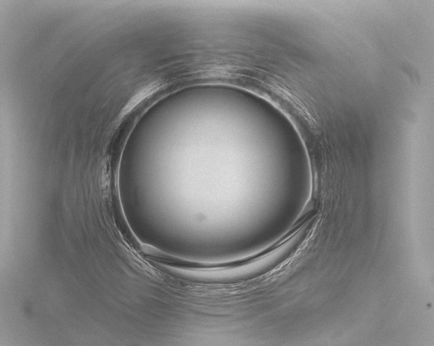 X0000116761450200912171426