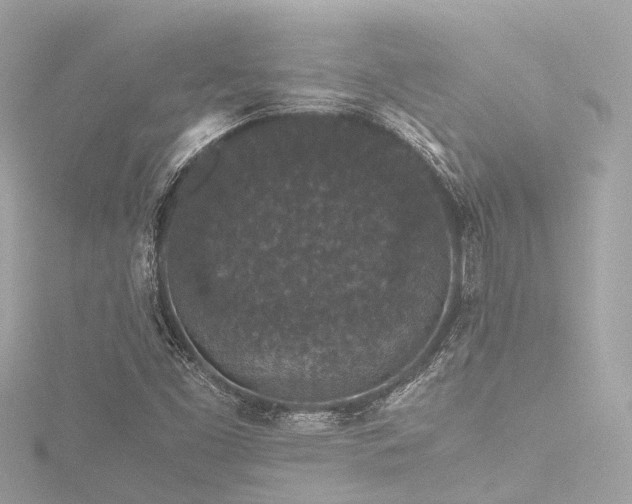 X0000116761453200912171426