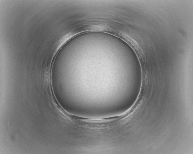 X0000116761473200912171425