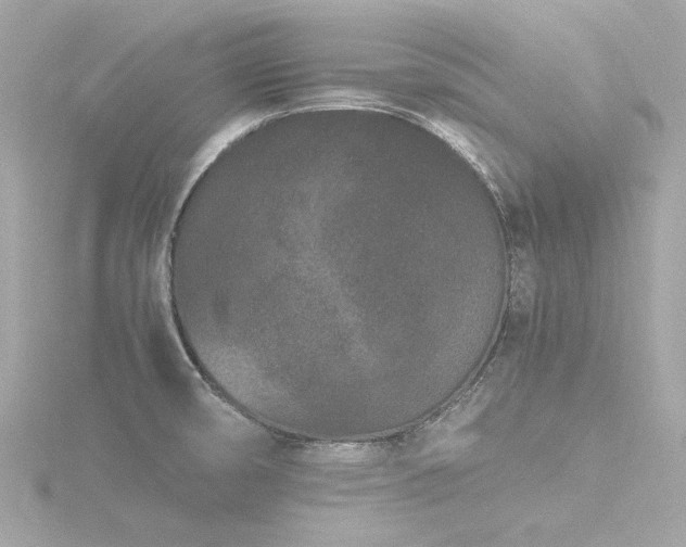 X0000116761474200912171425