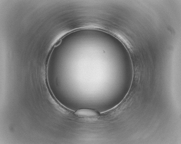 X0000116761476200912171425