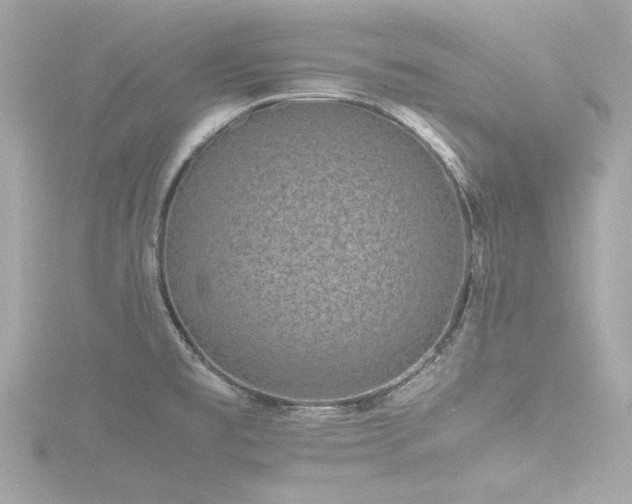 X0000116761477200912171425