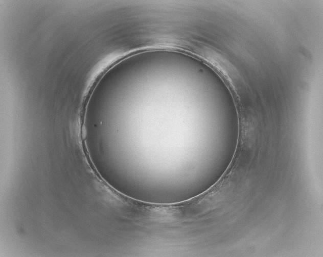 X0000116761480200912171425