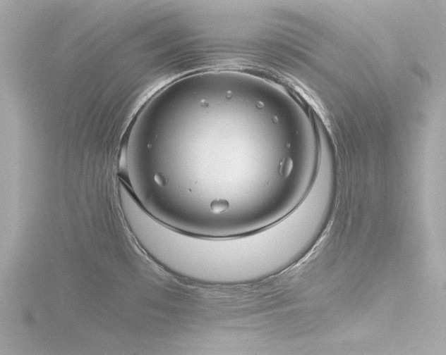 X0000116761481200912171425