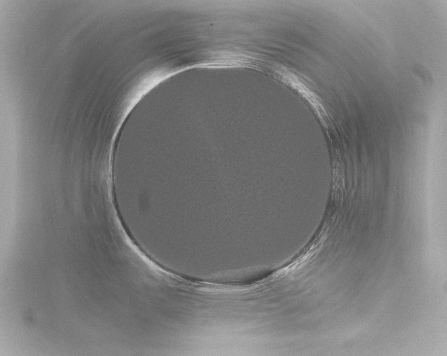 X0000116761487200912171425