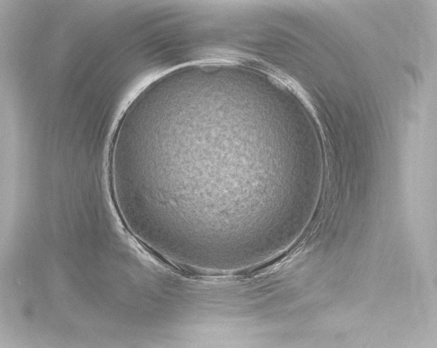 X0000116761488200912171425
